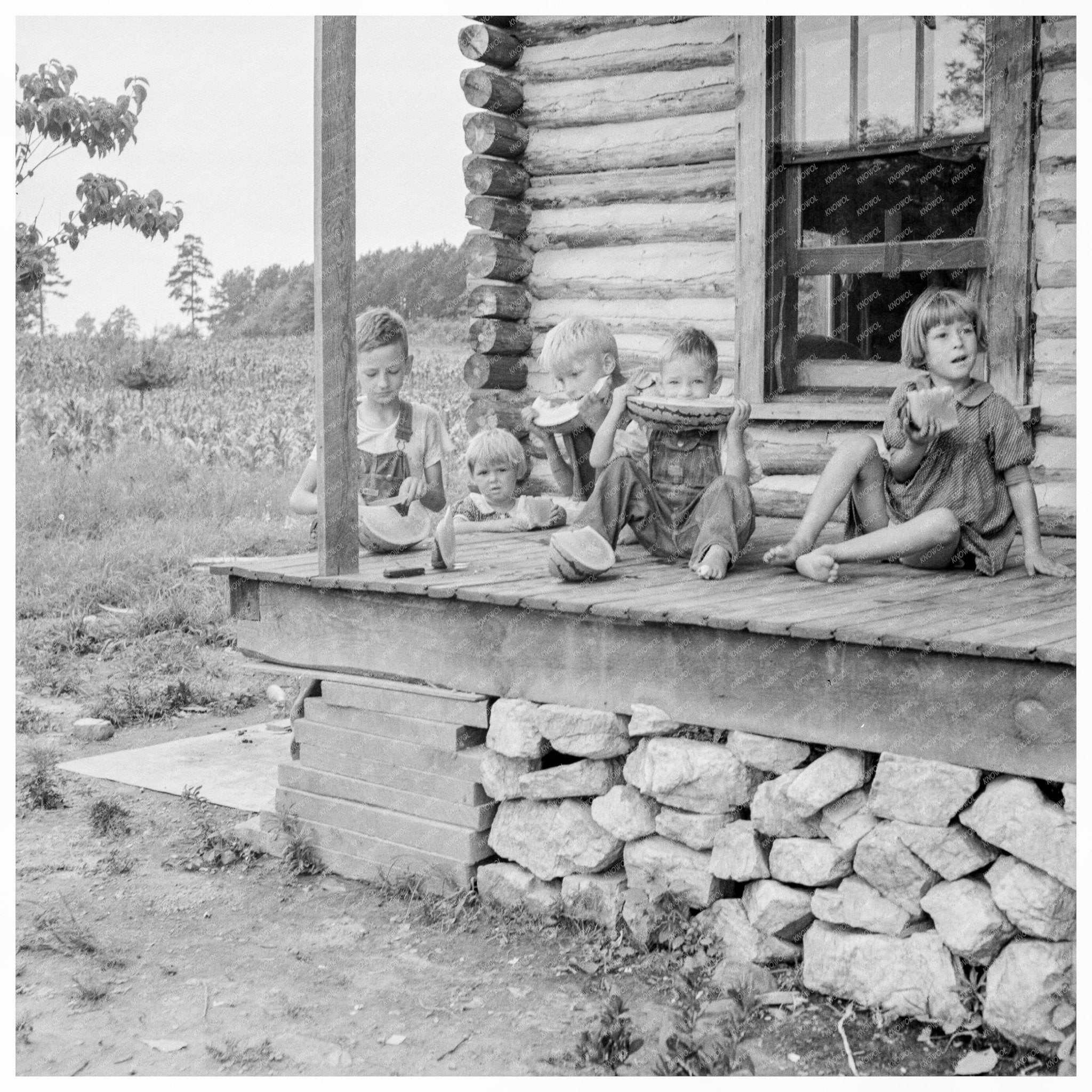 Millworkers Children Eating Watermelon North Carolina 1939 - Available at KNOWOL