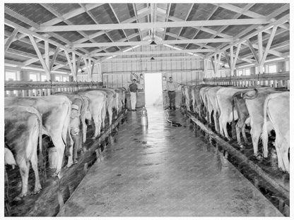 Mineral King Cooperative Association Dairy Farm 1939 - Available at KNOWOL