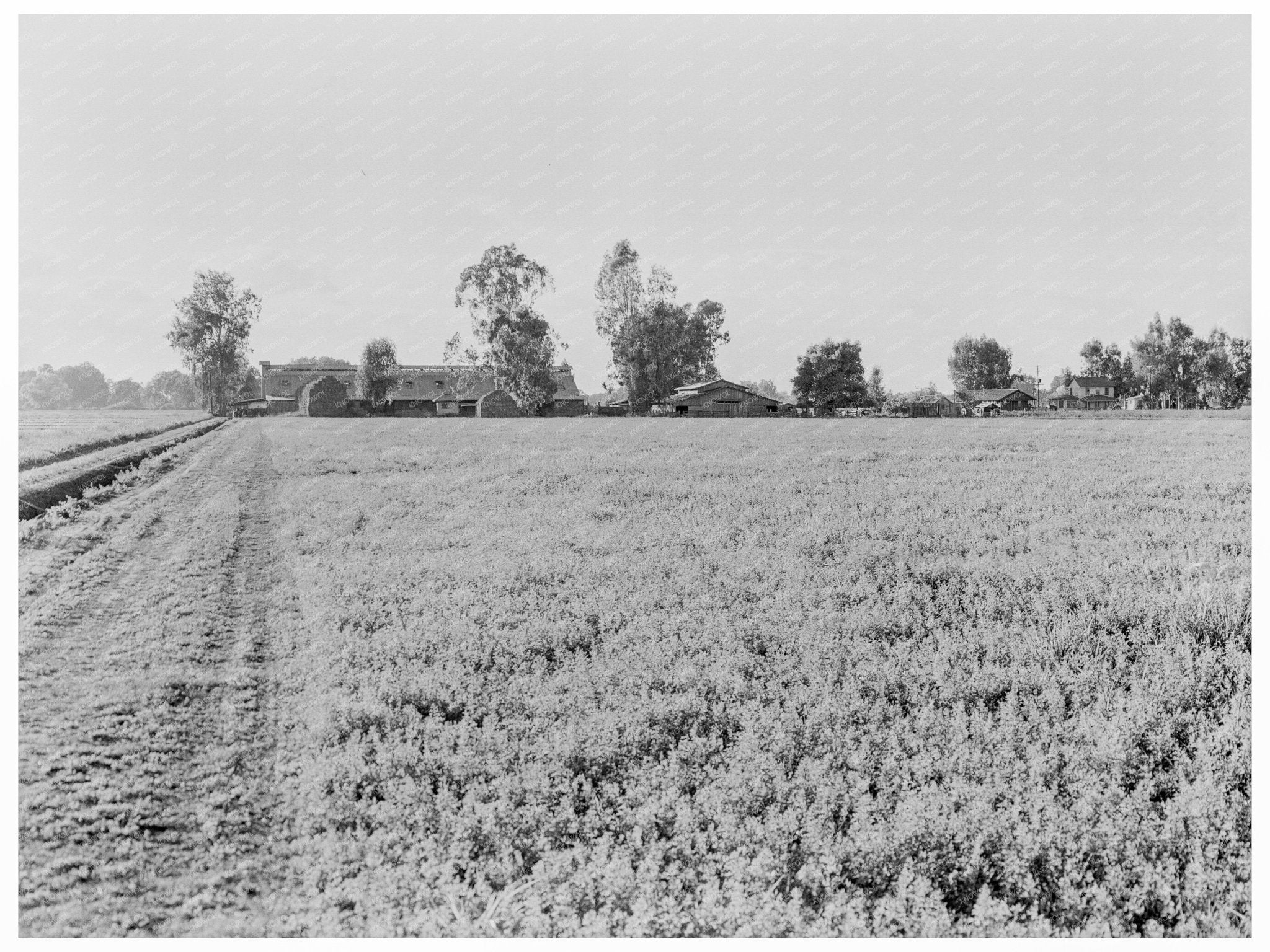 Mineral King Ranch Barns and Alfalfa Field 1938 - Available at KNOWOL