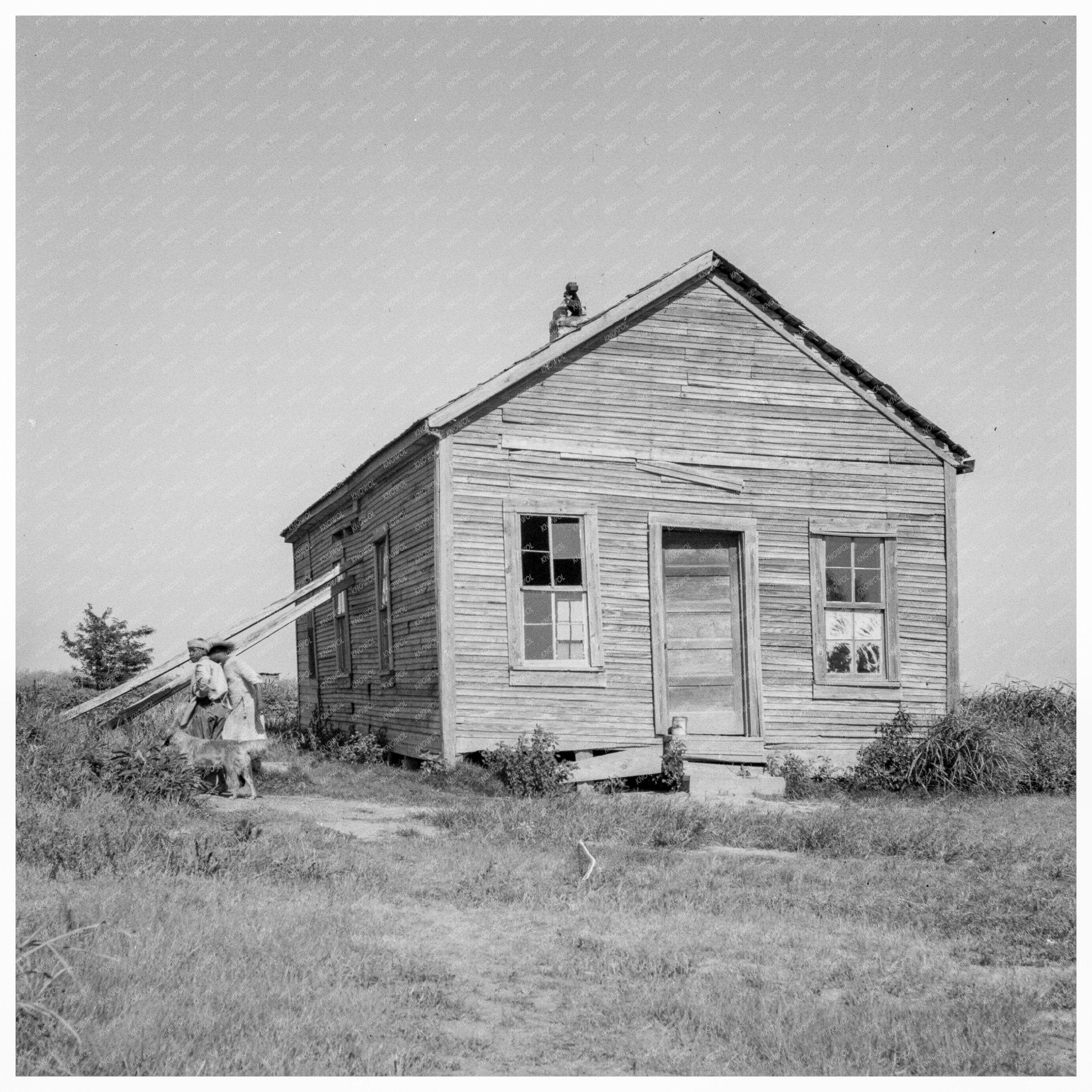 Mississippi Delta School in Agricultural Landscape 1937 - Available at KNOWOL