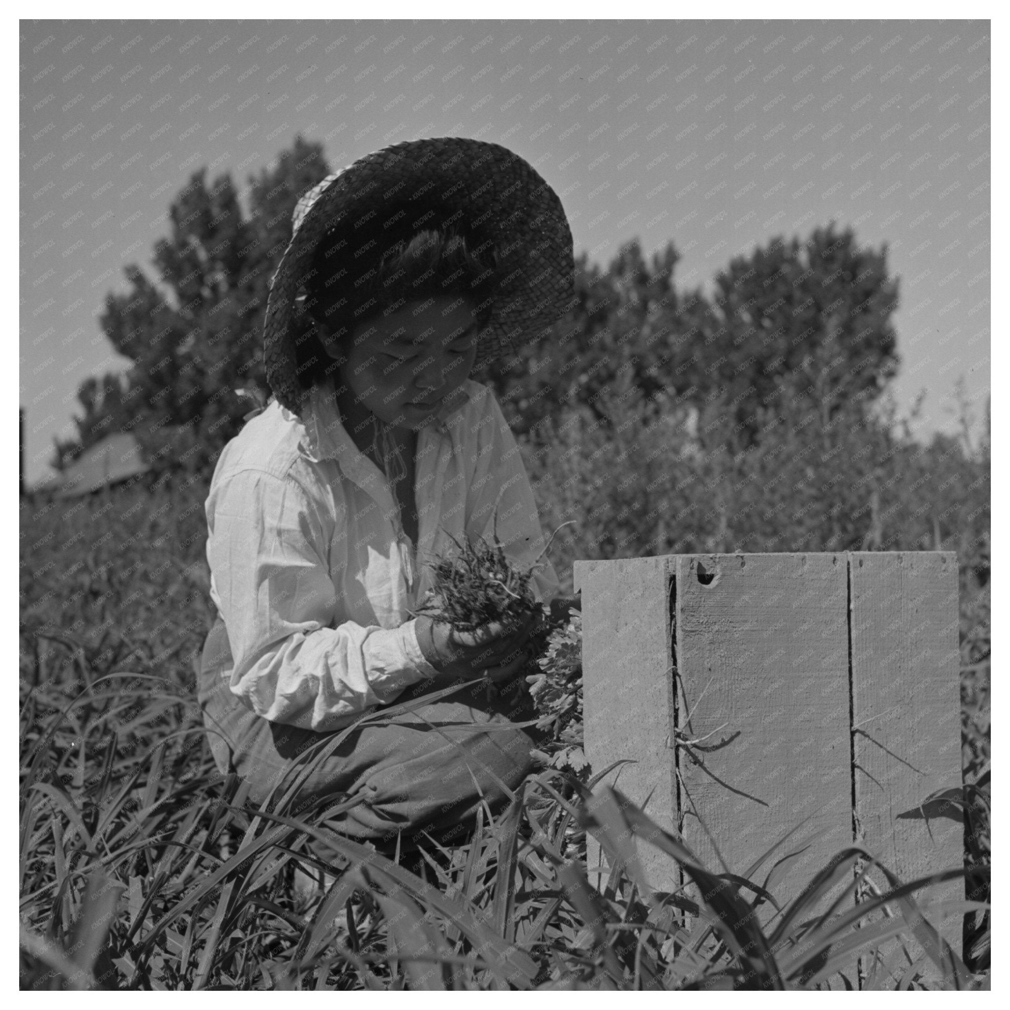 Mobile Camp for Japanese - American Farm Workers 1942 - Available at KNOWOL