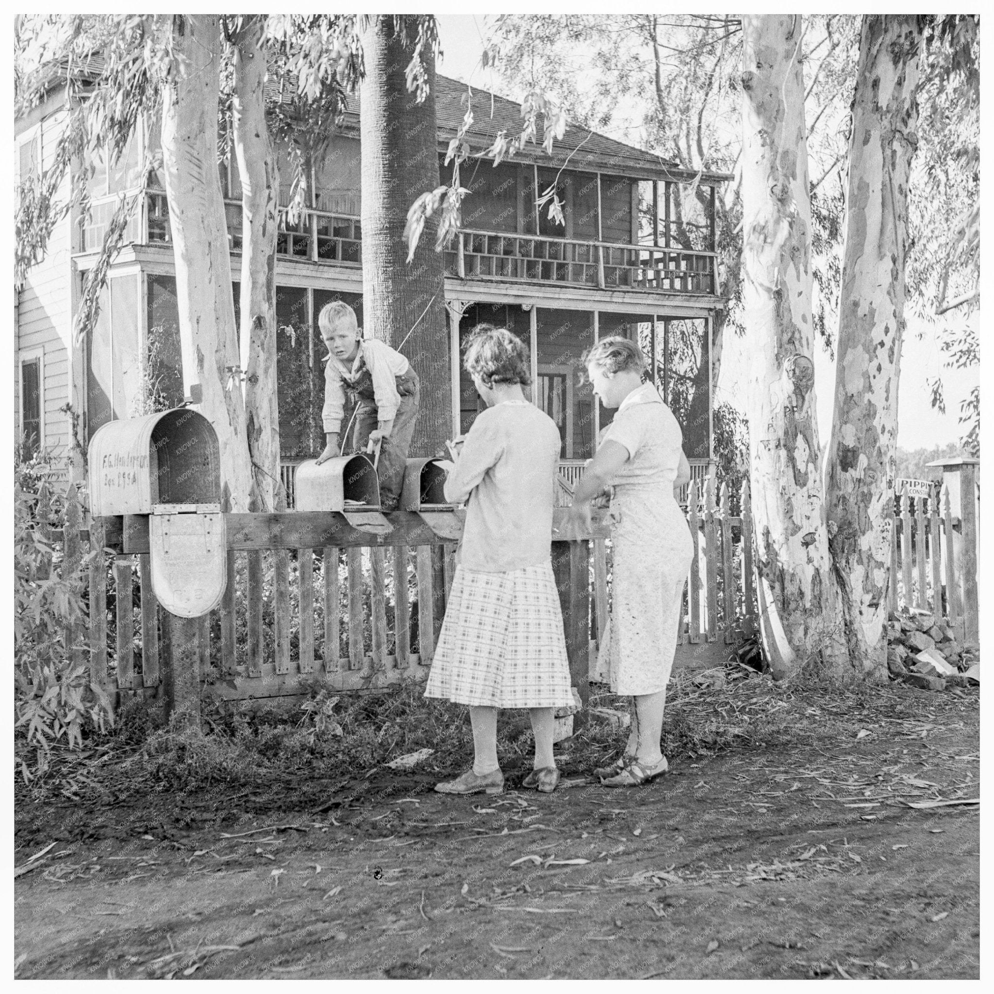 Morning Mail at Mineral King Farm Tulare County 1938 - Available at KNOWOL