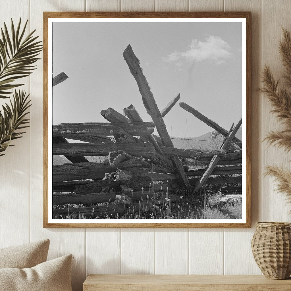 Moss - Covered Rail Fence in Jackson County Oregon 1942 - Available at KNOWOL