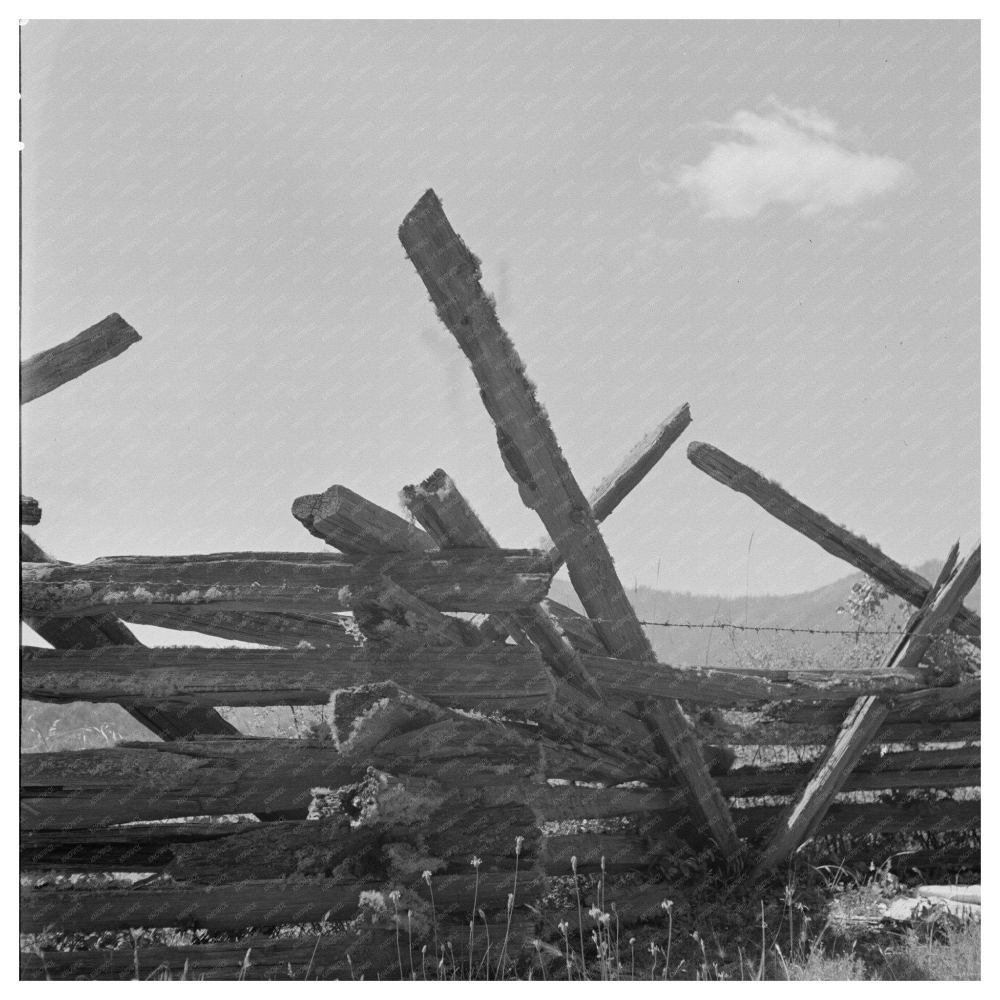 Moss - Covered Rail Fence Jackson County Oregon July 1942 - Available at KNOWOL