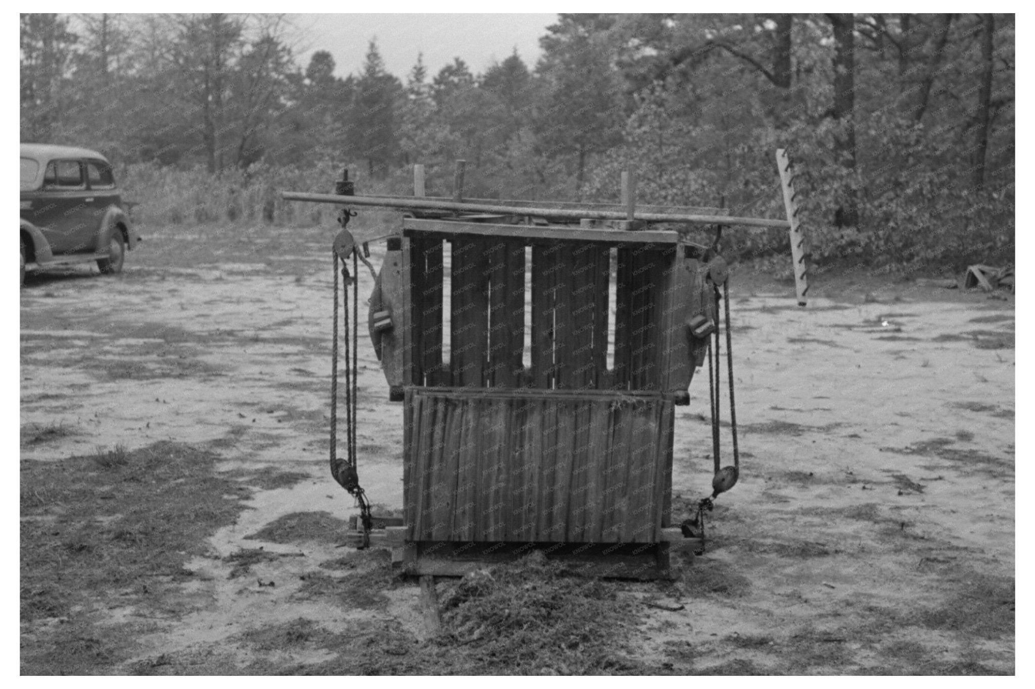 Moss Press in Pine Barrens New Jersey January 1938 - Available at KNOWOL