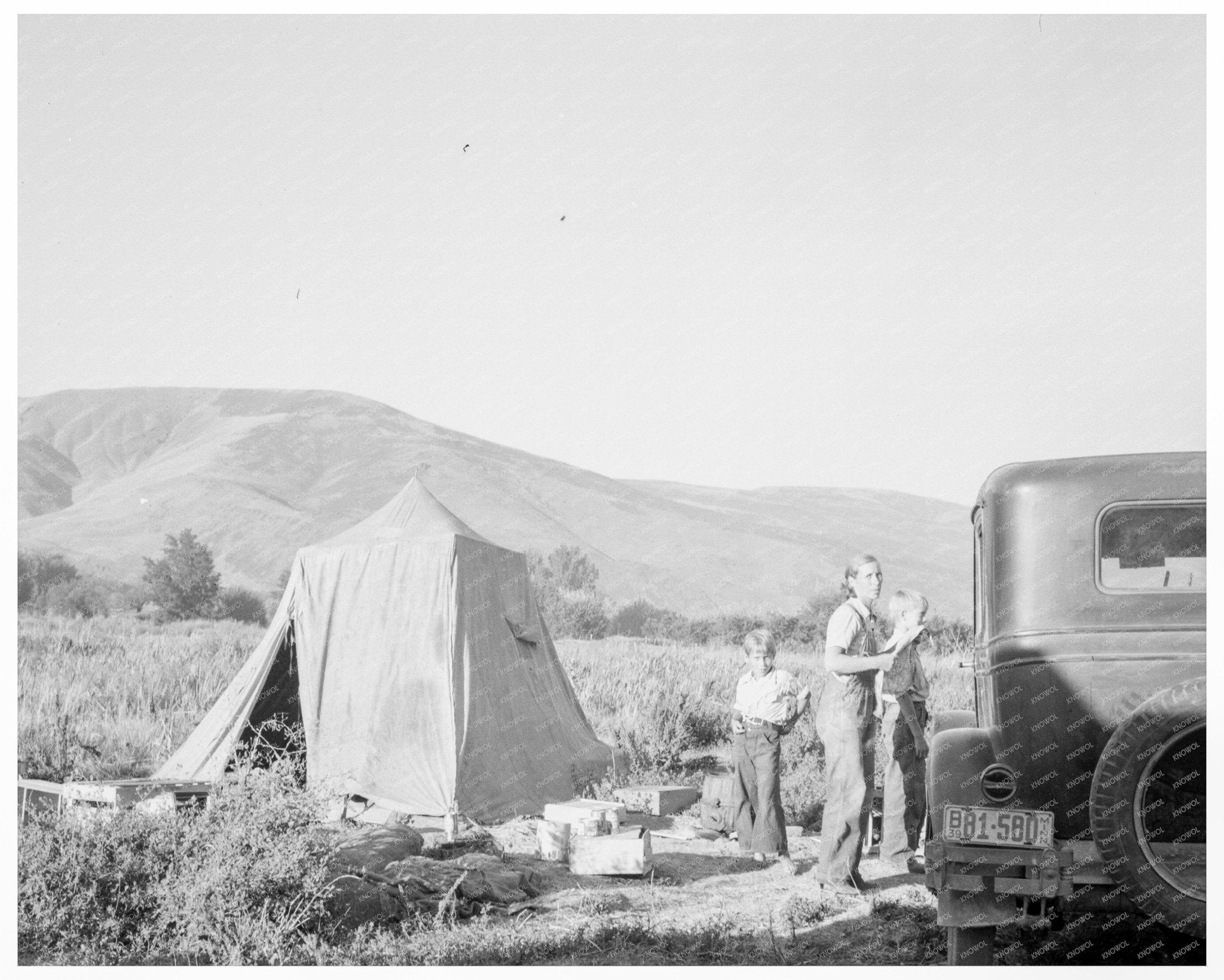 Mother and Sons Picking Pears in Yakima Valley 1939 - Available at KNOWOL