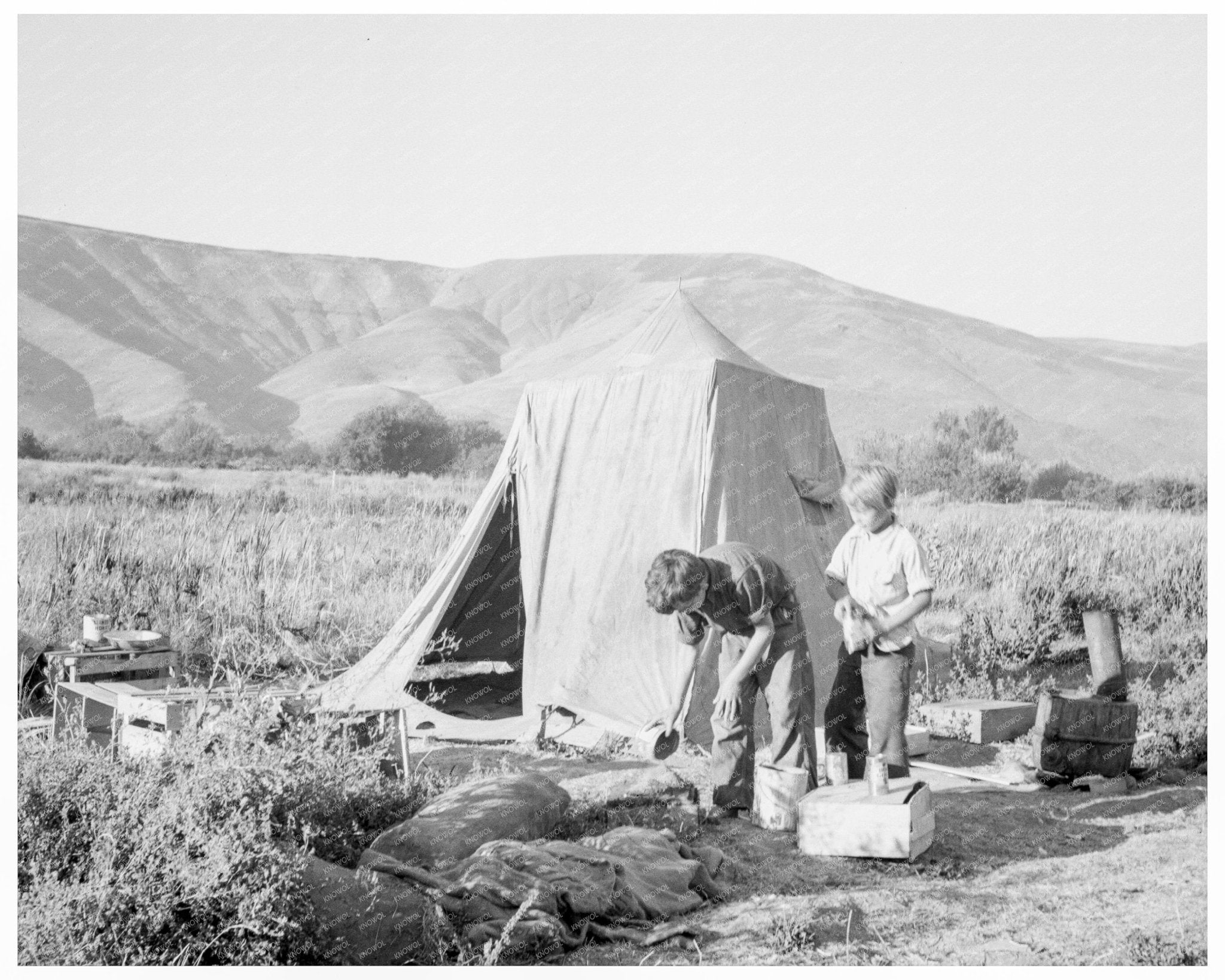 Mother and Sons Picking Pears Yakima Valley 1939 - Available at KNOWOL