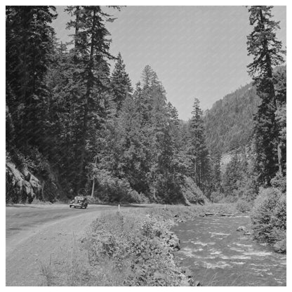 Mountain Stream by Highway Willamette National Forest 1942 - Available at KNOWOL