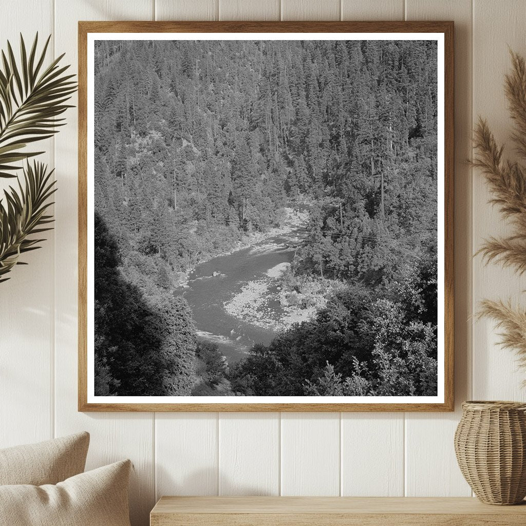 Mountain Stream in Shasta County California June 1942 - Available at KNOWOL