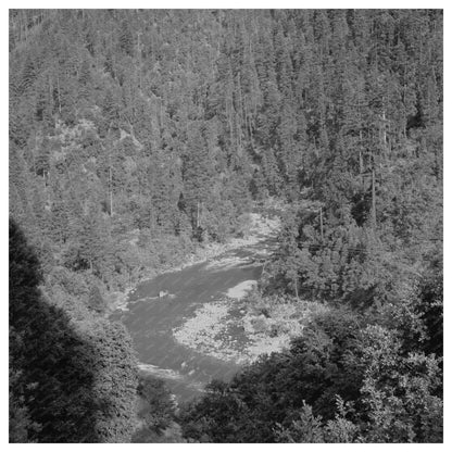 Mountain Stream in Shasta County California June 1942 - Available at KNOWOL