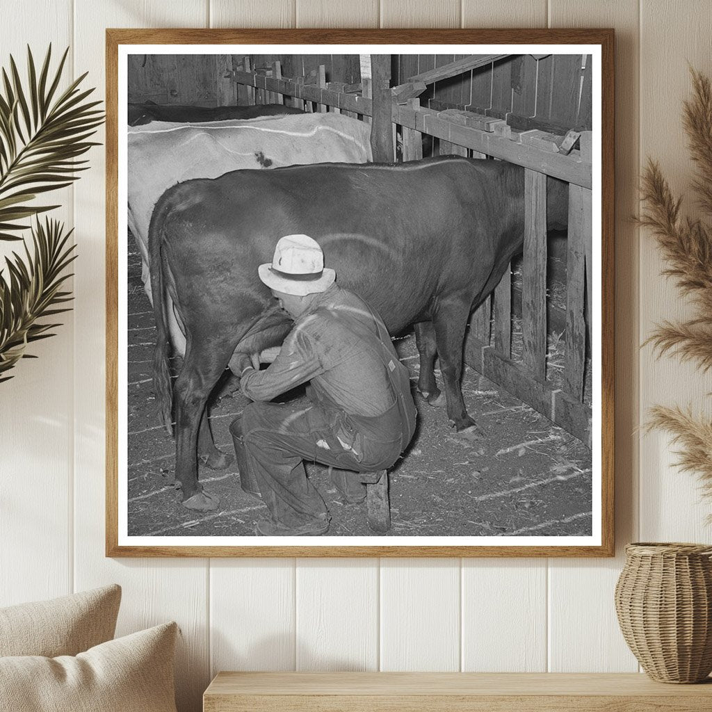 Mr. Bosley Milking Cows Baca County Colorado 1939 - Available at KNOWOL