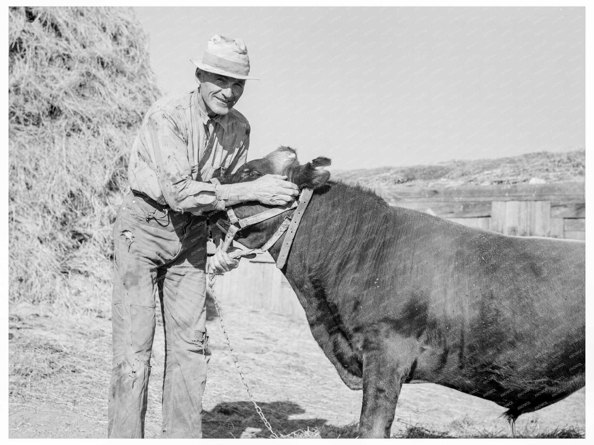 Mr. Botner with Co - Owned Bull Oregon 1939 - Available at KNOWOL