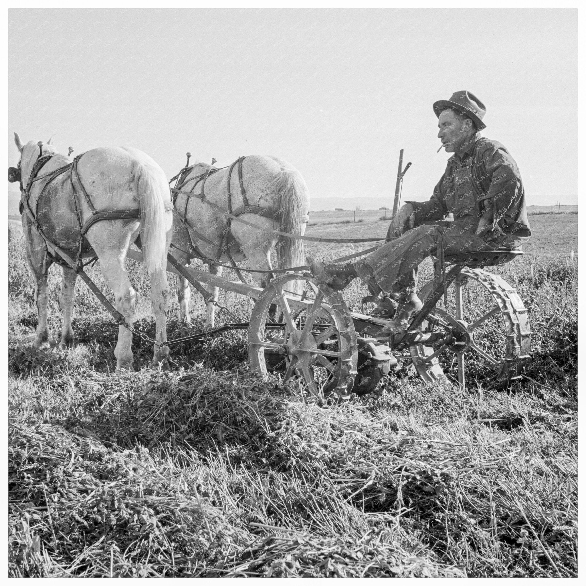 Mr. Roberts Owyhee Project Malheur County Oregon 1939 - Available at KNOWOL