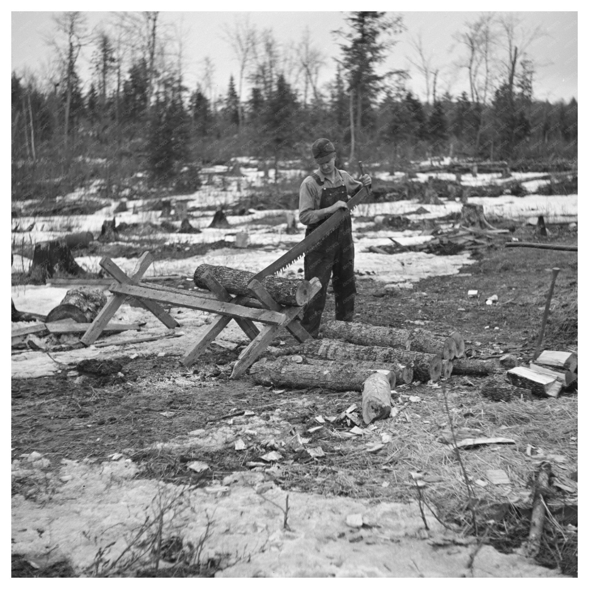 Mr. Smallwood Sawing Wood in Forest County Wisconsin 1937 - Available at KNOWOL