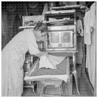 Mrs. Hull Drying Corn in Oregon October 1939 - Available at KNOWOL