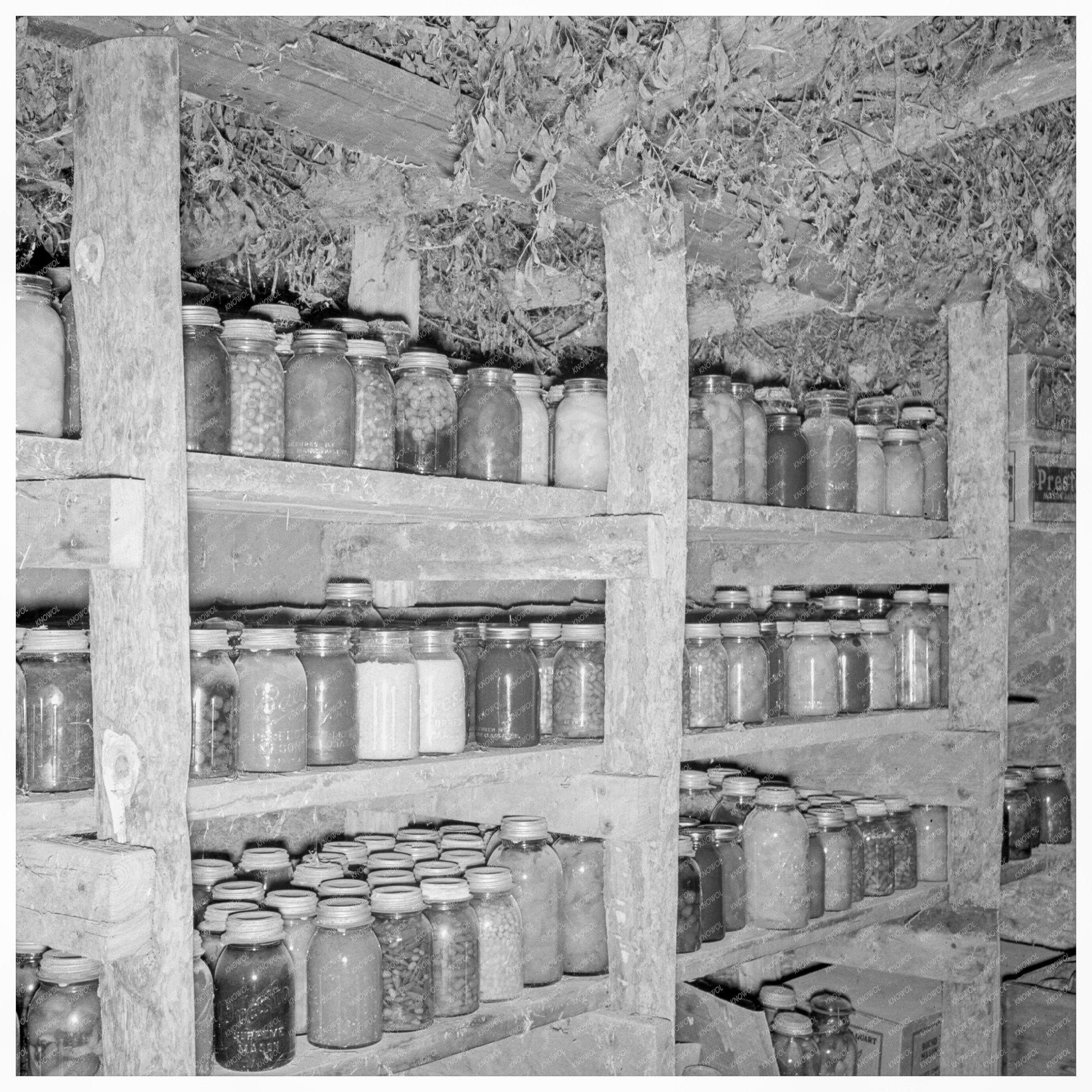 Mrs. Wardlows Dugout Cellar in Oregon 1939 - Available at KNOWOL