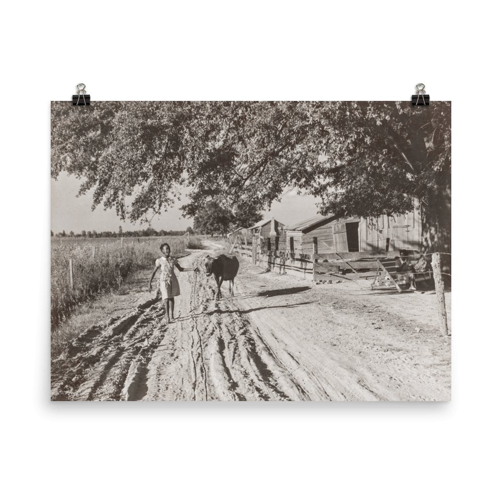 MS - Vintage Photo of Tenant Farmer's Daughter and Cow, Belzoni, Mississippi, 1939 - Available at KNOWOL