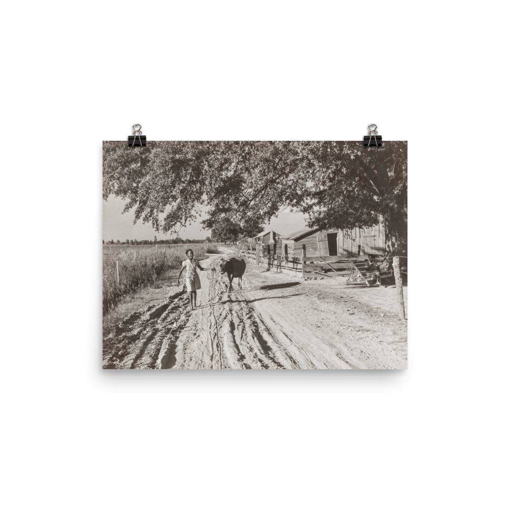 MS - Vintage Photo of Tenant Farmer's Daughter and Cow, Belzoni, Mississippi, 1939 - Available at KNOWOL