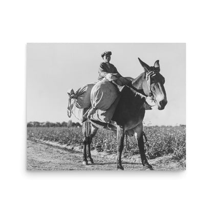 MS - Young Day Laborer Carries Cotton Sacks from the field to the truck via horse, Hopson, Mississippi 1939 - Available at KNOWOL