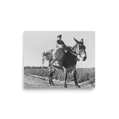 MS - Young Day Laborer Carries Cotton Sacks from the field to the truck via horse, Hopson, Mississippi 1939 - Available at KNOWOL