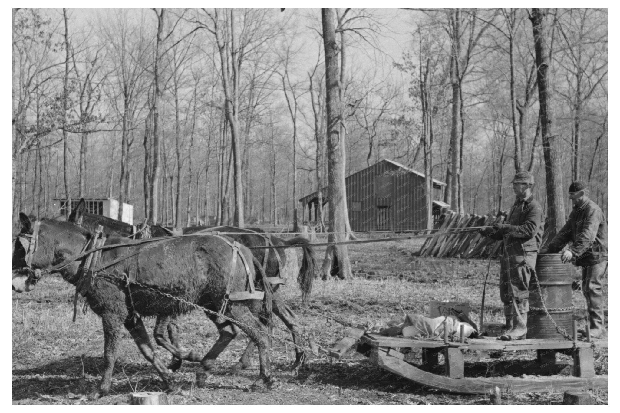 Mud Sled at Chicot Farms Arkansas 1939 - Available at KNOWOL