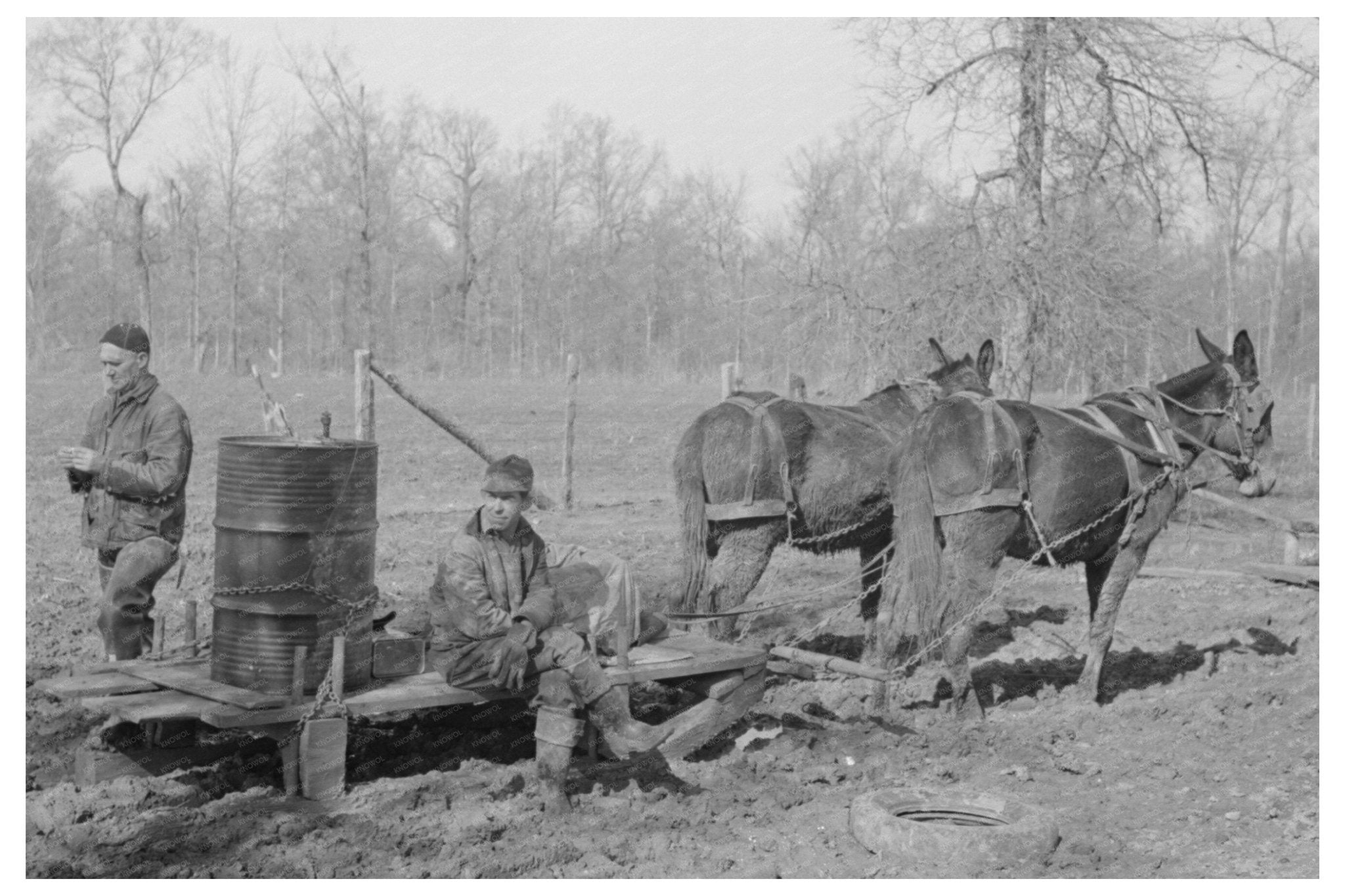 Mud Sled Transportation at Chicot Farms Arkansas 1939 - Available at KNOWOL