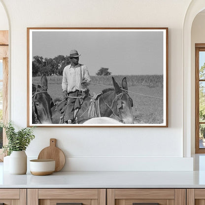 Mule Driver on Sugarcane Plantation Louisiana 1938 - Available at KNOWOL