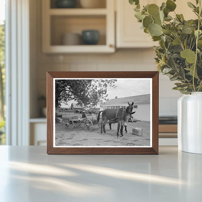 Mules and Wagon at Cooperative Store Southeast Missouri 1938 - Available at KNOWOL