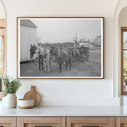 Mules and Wagon in Port Barre Louisiana 1938 - Available at KNOWOL