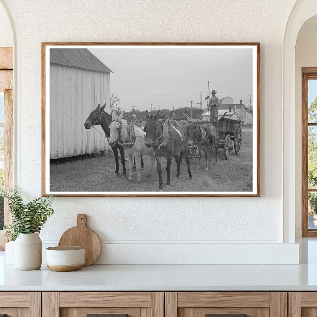 Mules and Wagon in Port Barre Louisiana October 1938 - Available at KNOWOL