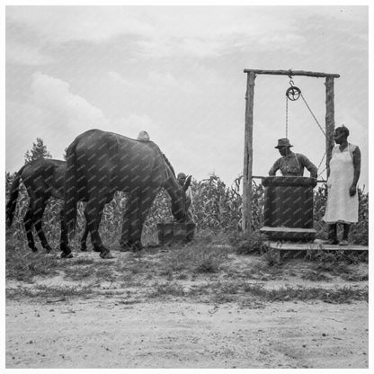 Mules Watering at Well Granville County North Carolina 1939 - Available at KNOWOL