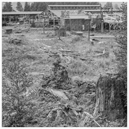 Mumby Lumber Mill Dismantling Malone Washington 1939 - Available at KNOWOL