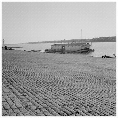 Municipal Levee in Greenville Mississippi 1937 - Available at KNOWOL