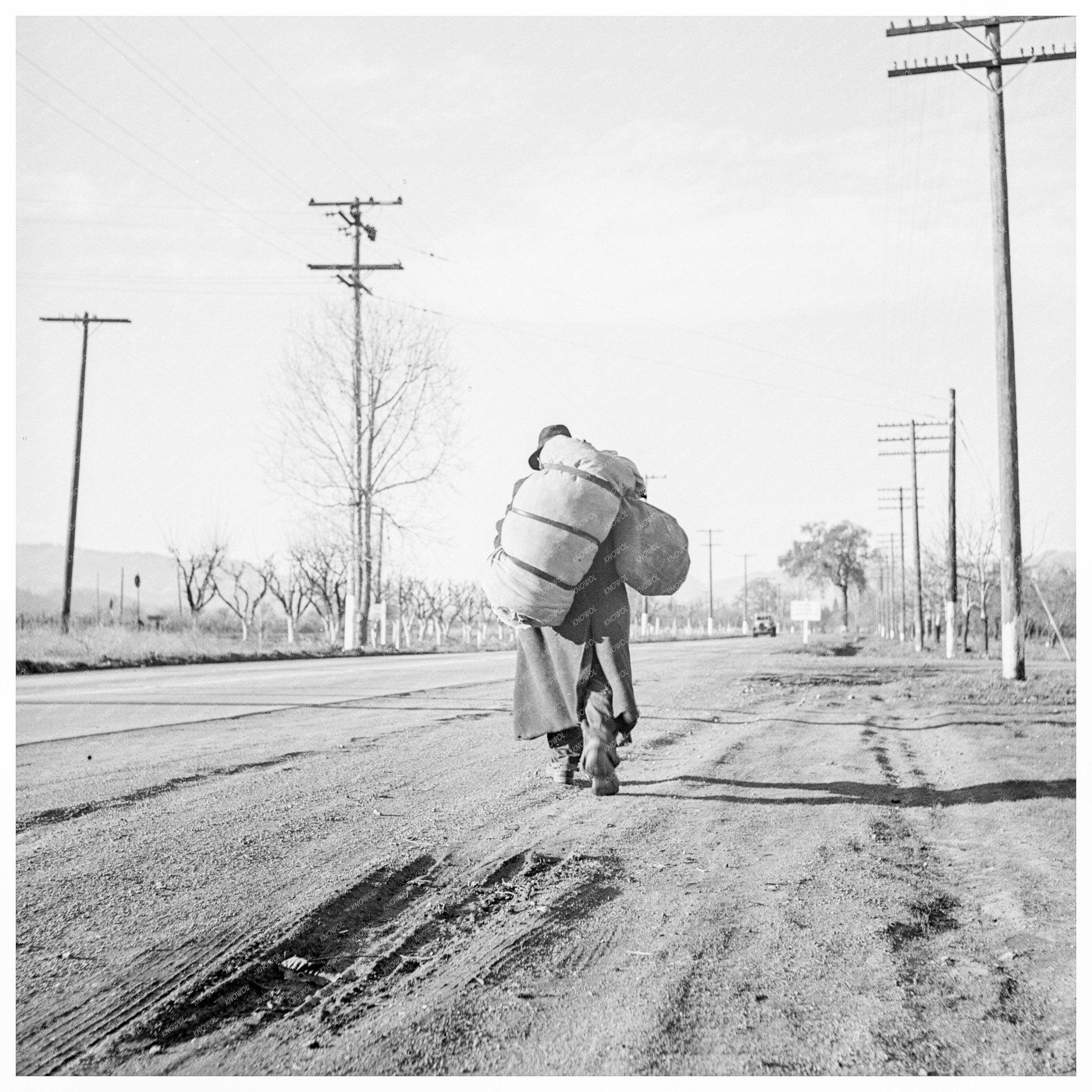 Napa Valley migrant worker December 1938 FSA collection - Available at KNOWOL