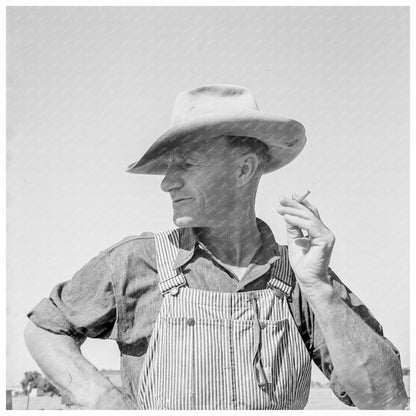 Nebraska Farmer Pea Picking Calipatria California 1939 - Available at KNOWOL