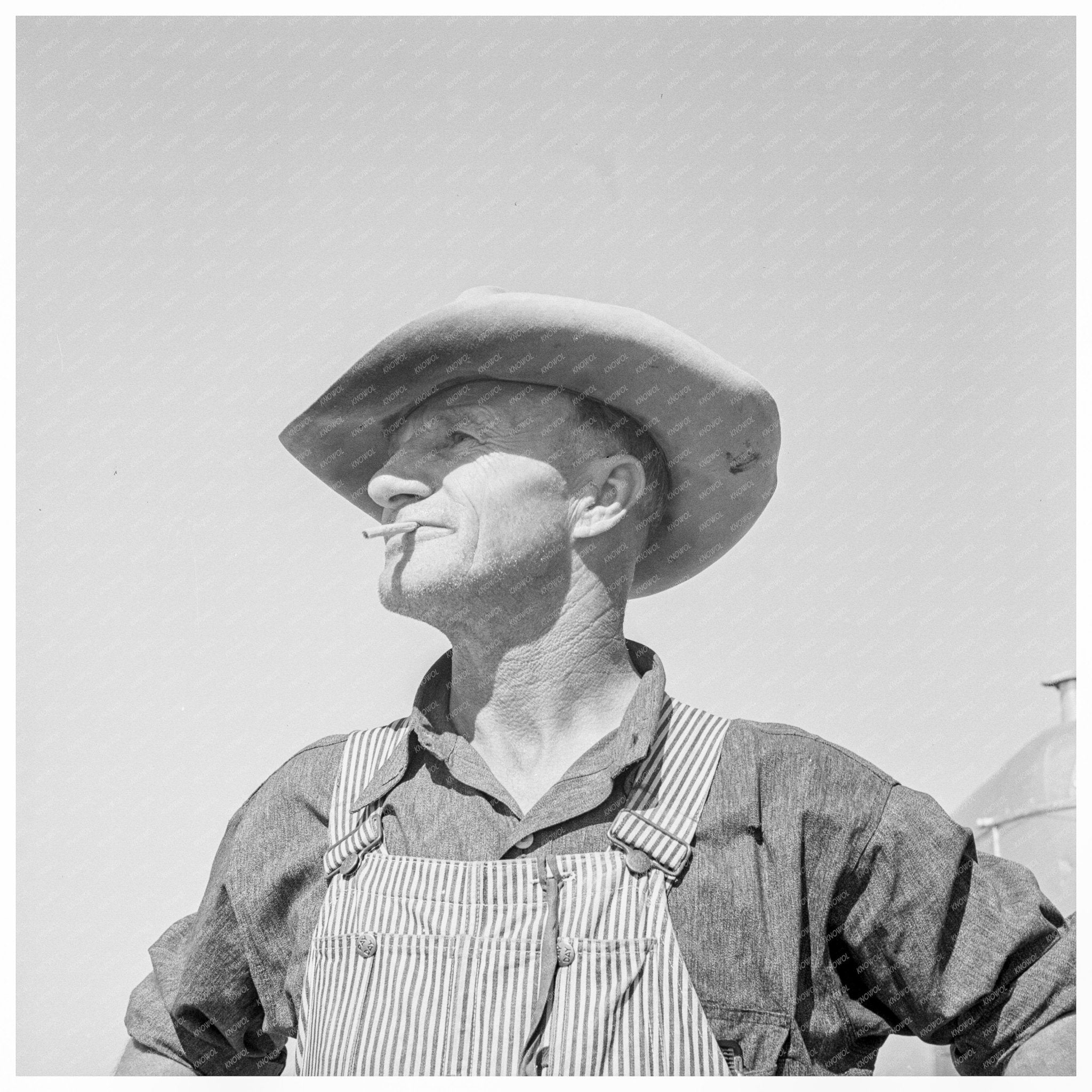 Nebraska Farmer Picking Peas February 1939 - Available at KNOWOL