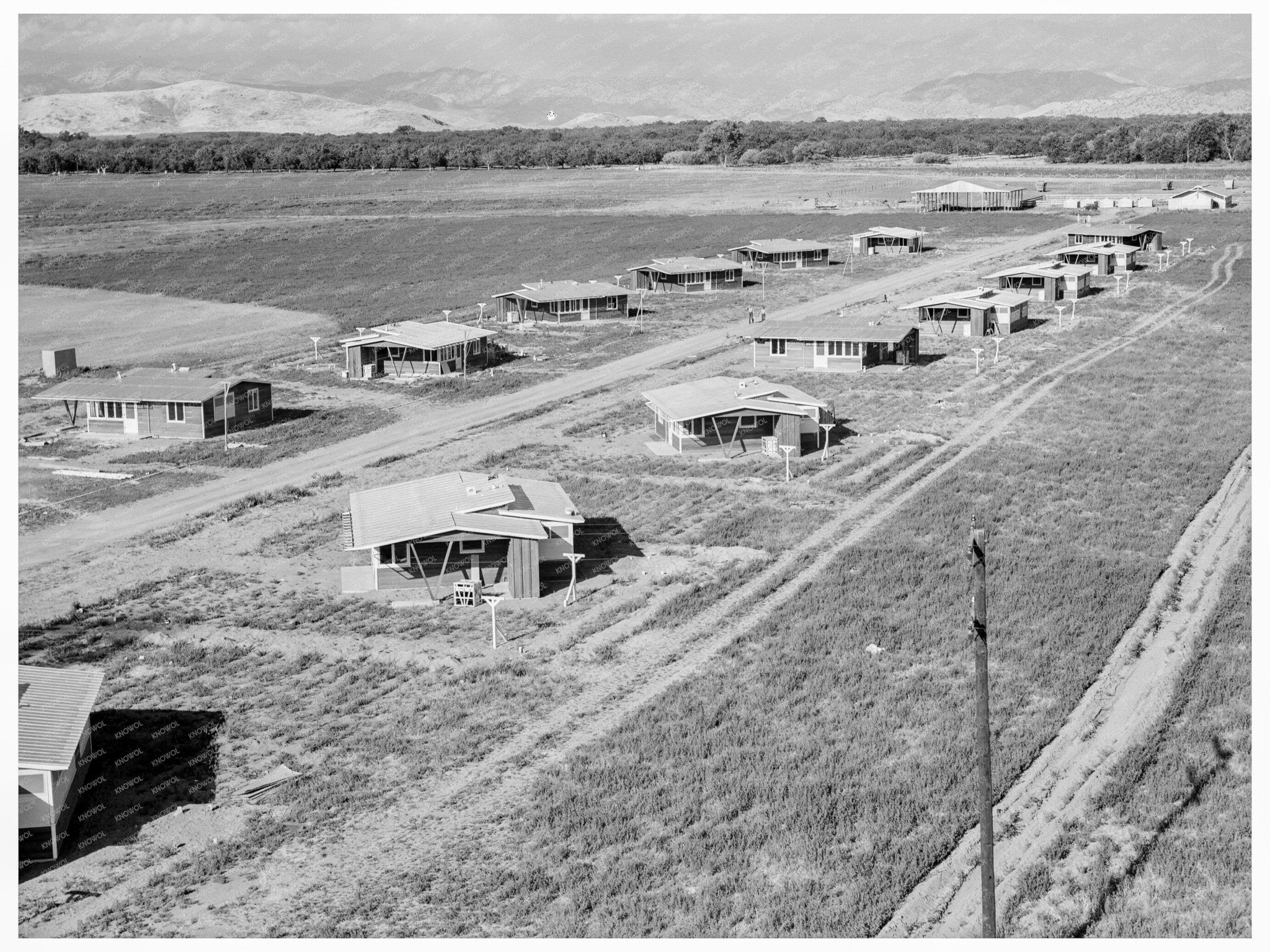 New Homes on Mineral King Cooperative Farms 1939 - Available at KNOWOL