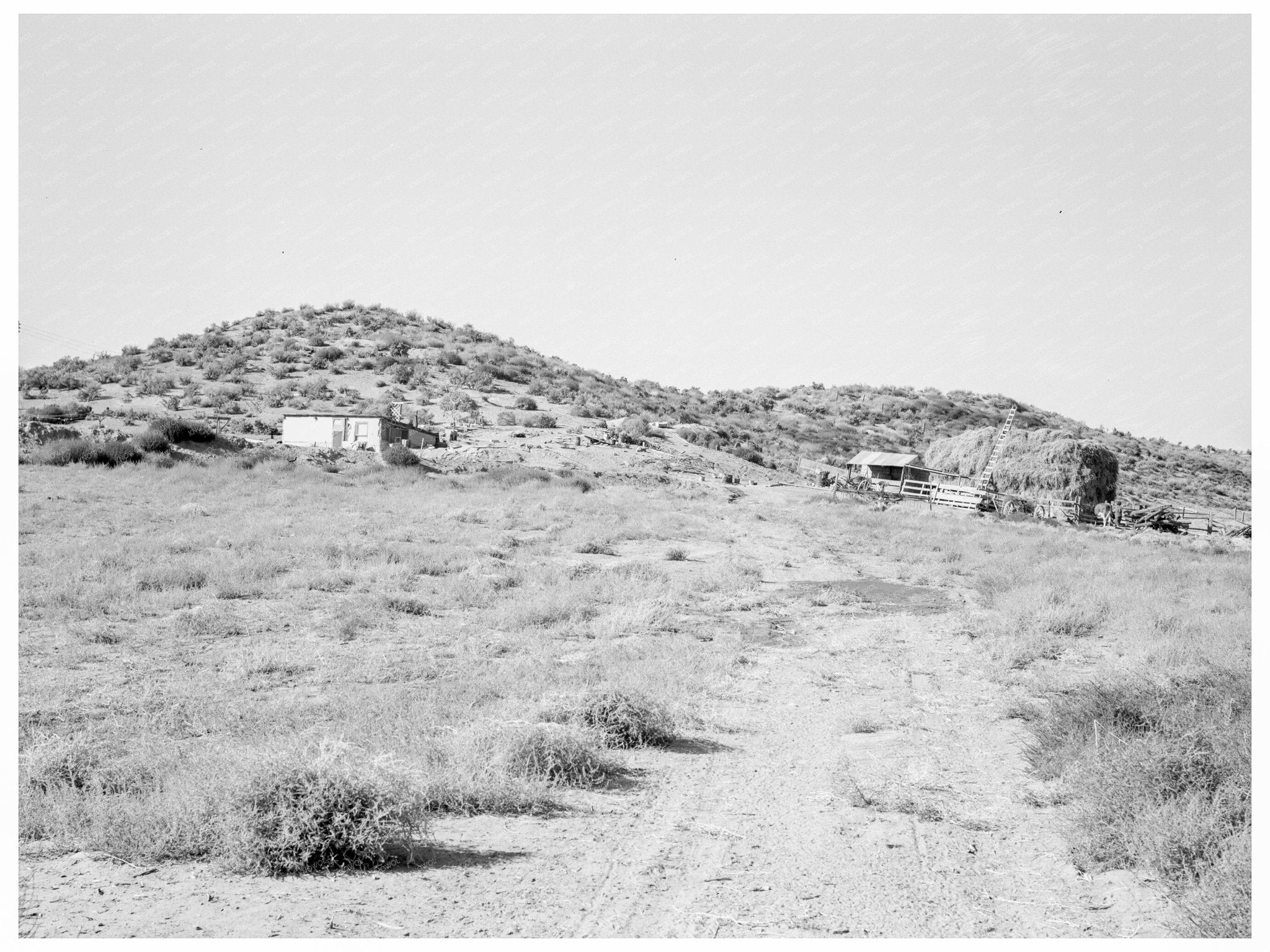 Niccum Farm in Malheur County Oregon October 1939 - Available at KNOWOL