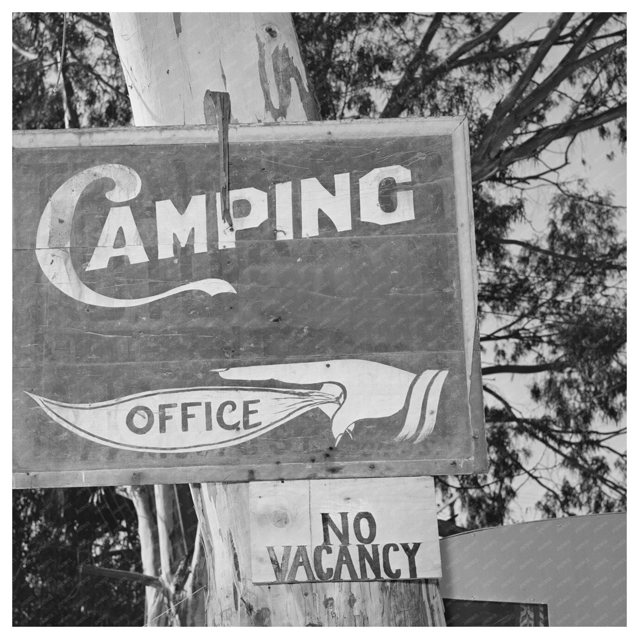 No Vacancy Sign Trailer Camp San Diego December 1940 - Available at KNOWOL