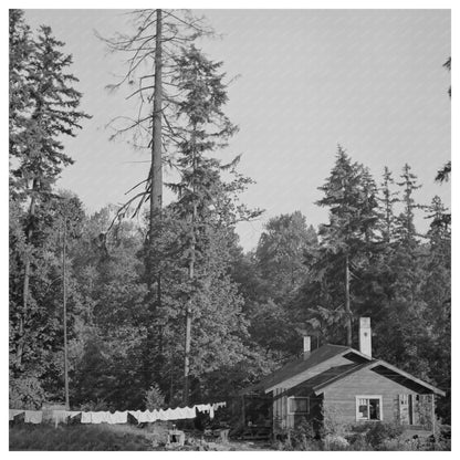 Oakridge Oregon Scene July 1942 Farm Security Administration - Available at KNOWOL