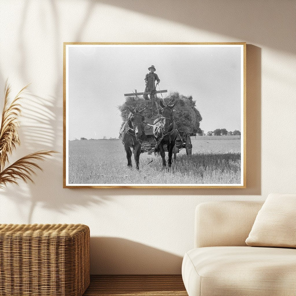 Oat Threshing in Clayton Indiana July 1936 - Available at KNOWOL