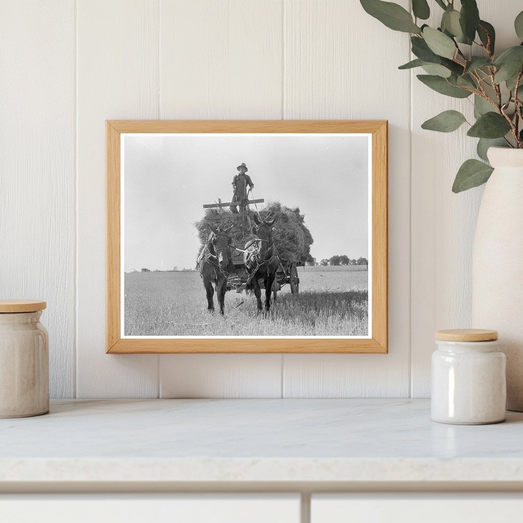 Oat Threshing in Clayton Indiana July 1936 - Available at KNOWOL