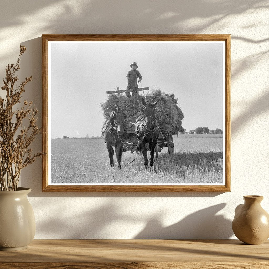 Oat Threshing in Clayton Indiana July 1936 - Available at KNOWOL