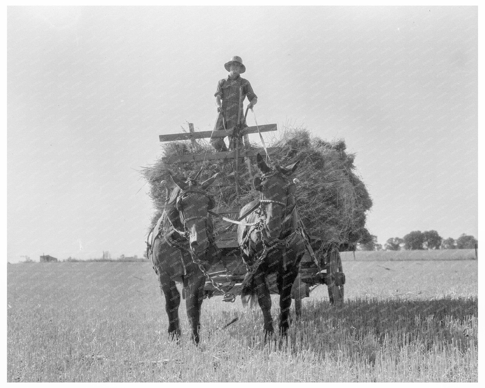 Oat Threshing in Clayton Indiana July 1936 - Available at KNOWOL