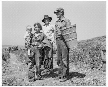 Oklahoma Drought Refugees in California Pea Fields 1937 - Available at KNOWOL