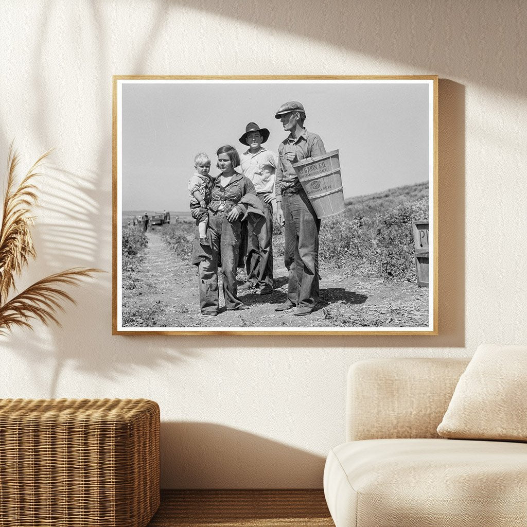 Oklahoma Drought Refugees in California Pea Fields 1937 - Available at KNOWOL