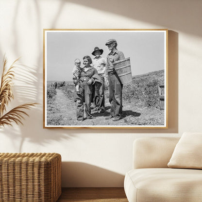 Oklahoma Drought Refugees in California Pea Fields 1937 - Available at KNOWOL