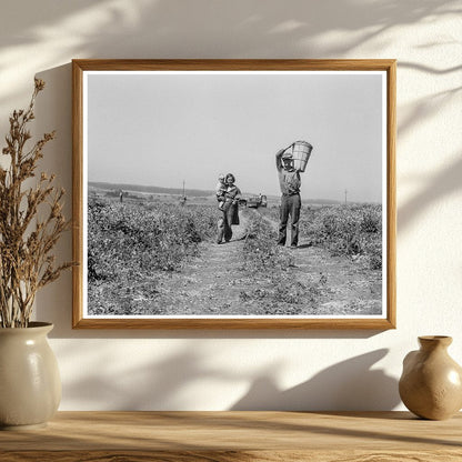 Oklahoma Drought Refugees Working in California Pea Fields 1937 - Available at KNOWOL