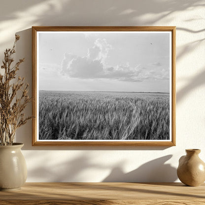 Oklahoma Farm Scene by Dorothea Lange June 1937 - Available at KNOWOL