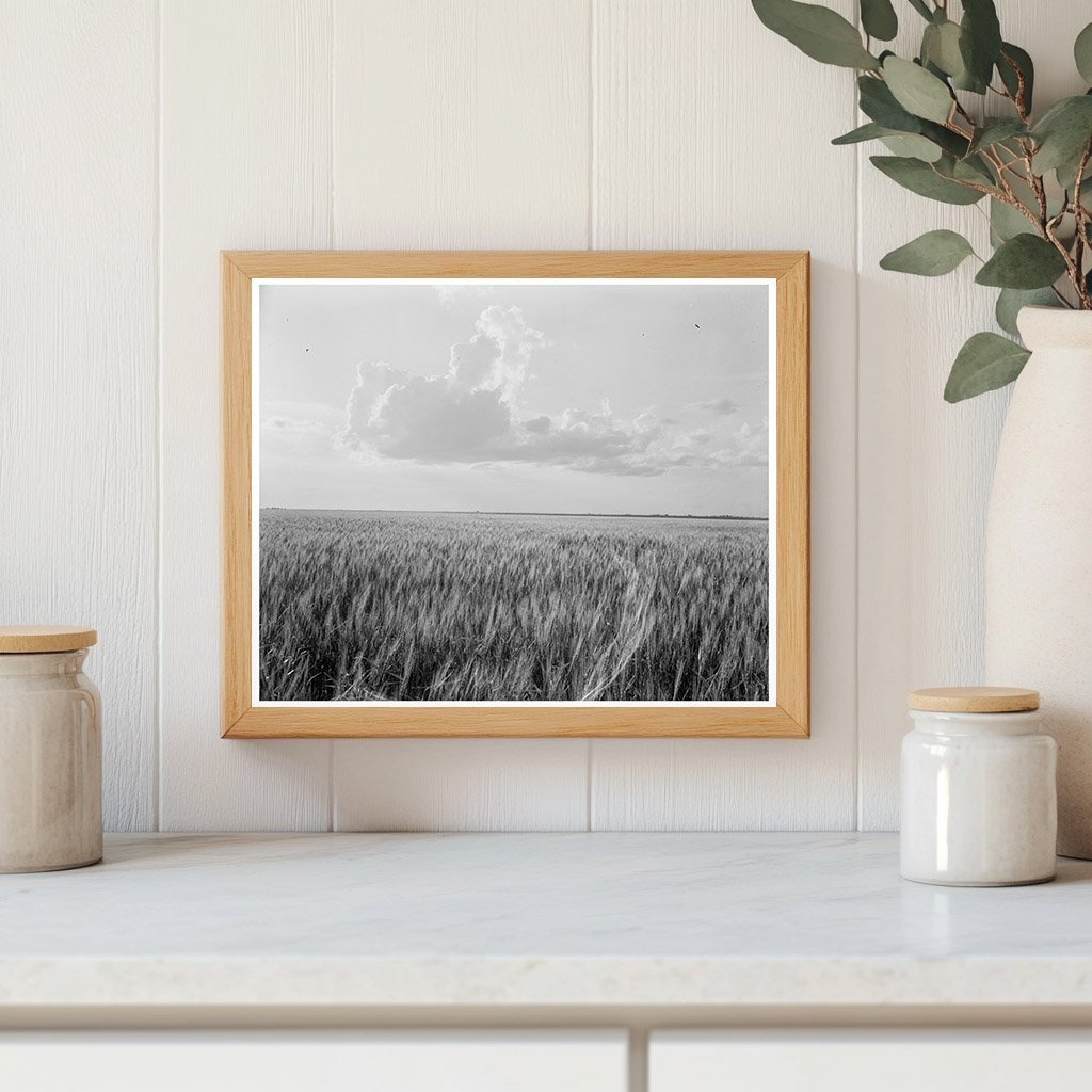 Oklahoma Farm Scene by Dorothea Lange June 1937 - Available at KNOWOL